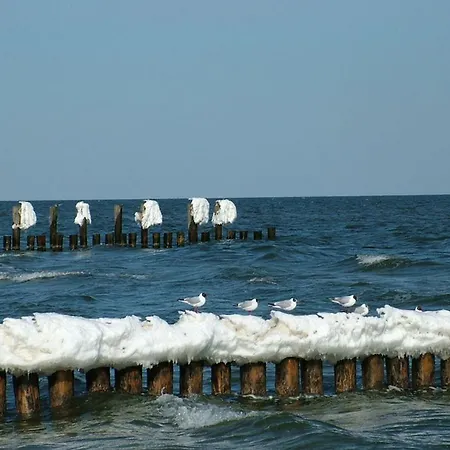 Anni Apartment Zingst