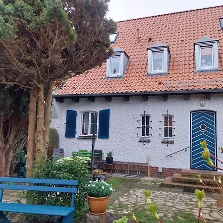 Anni Zingst