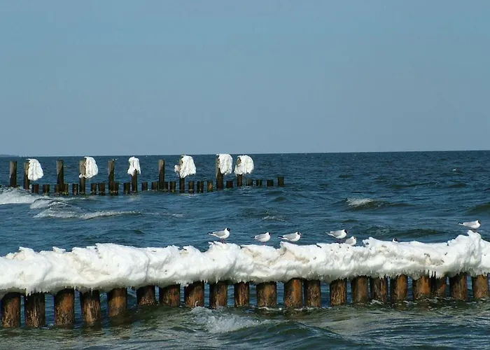 Anni Appartamento Zingst